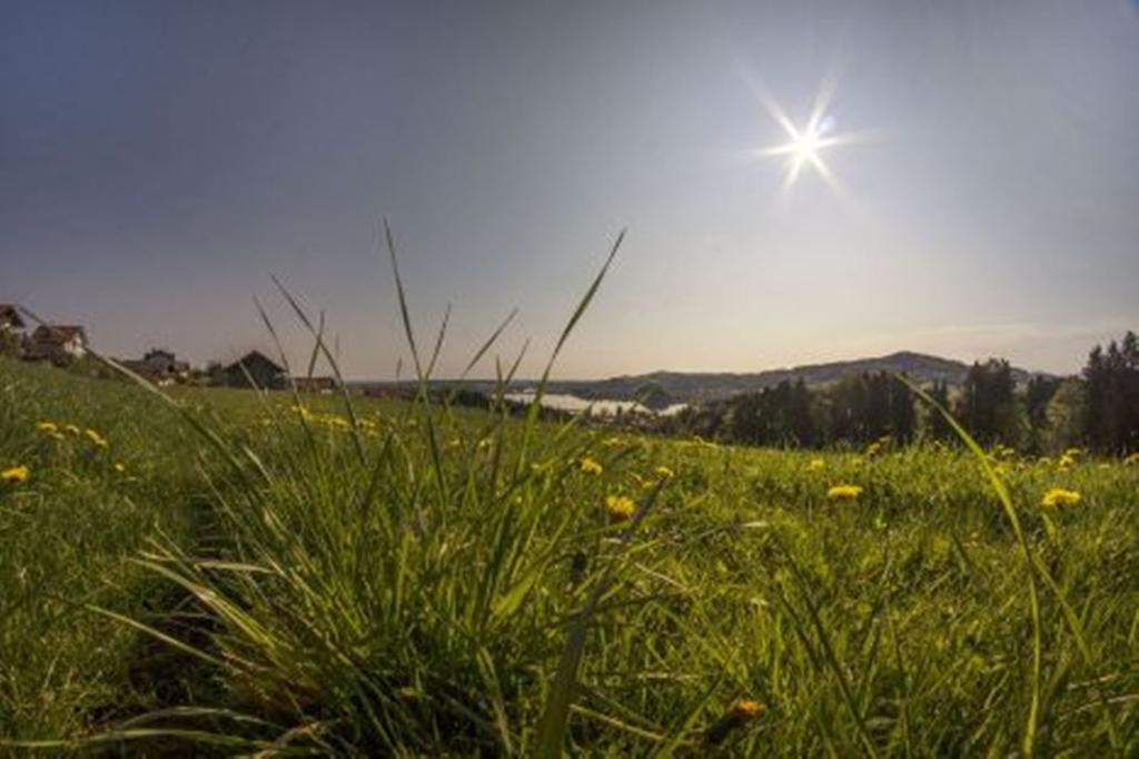 Stiedlbauerhof Seeham Quarto foto